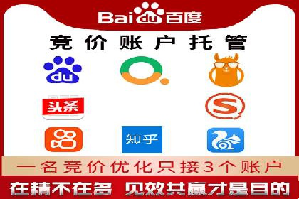 竞价排名在电商行业的实战案例